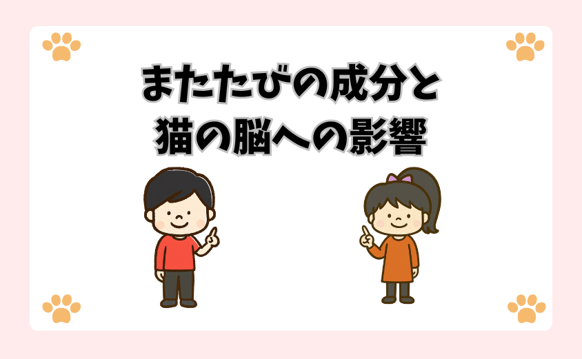 またたびの成分と猫の脳への影響