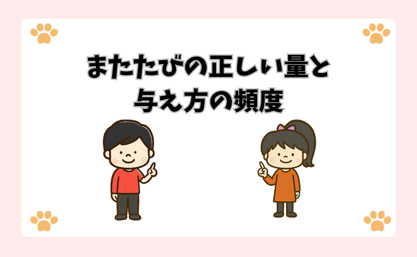 またたびの正しい量と与え方の頻度