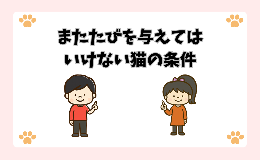 またたびを与えてはいけない猫の条件