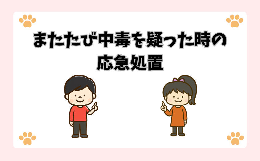 またたび中毒を疑った時の応急処置