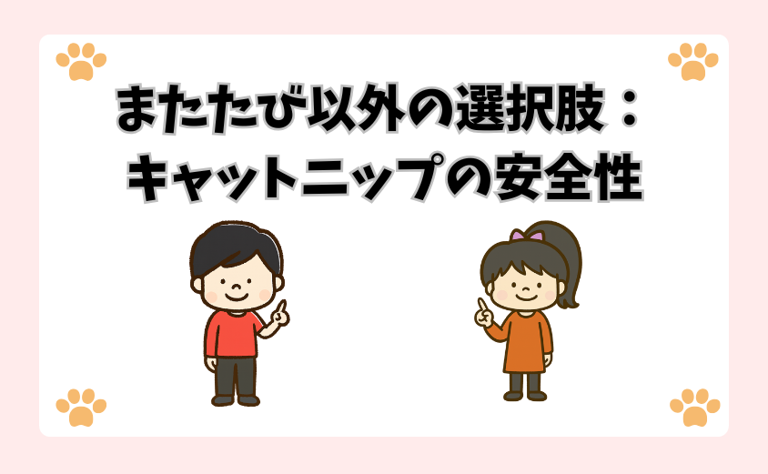 またたび以外の選択肢：キャットニップの安全性