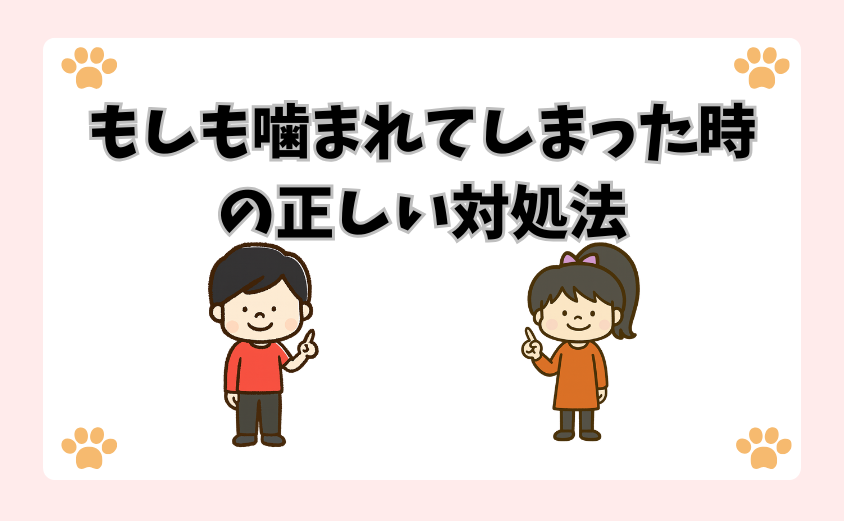 もしも噛まれてしまった時の正しい対処法