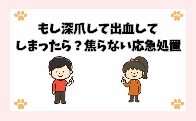 もし深爪して出血してしまったら？焦らない応急処置