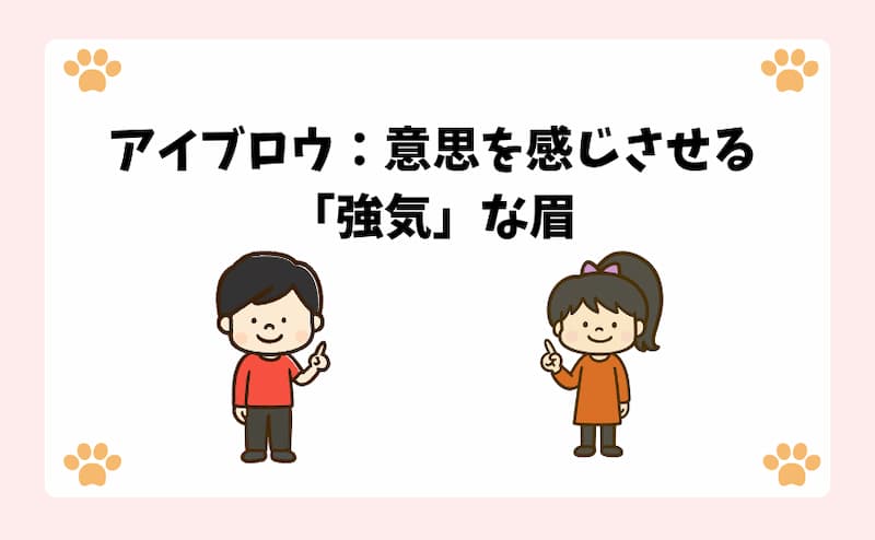 アイブロウ：意思を感じさせる「強気」な眉