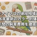 オキナインコの値段相場は？2026年最新のカラー別価格と30年間の飼育費用を徹底解説