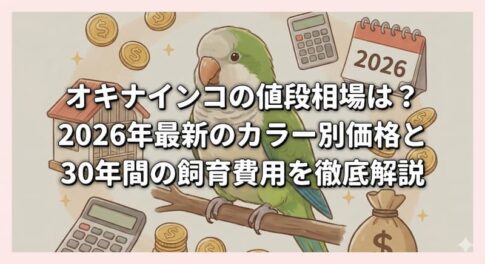 オキナインコの値段相場は？2026年最新のカラー別価格と30年間の飼育費用を徹底解説