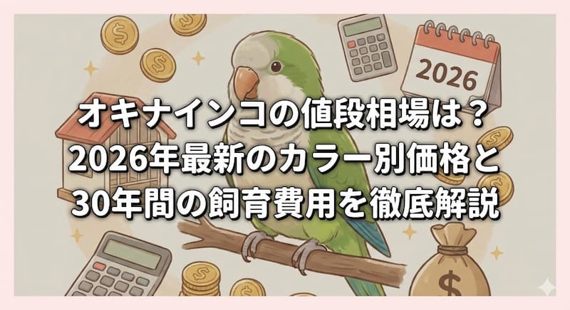 オキナインコの値段相場は？2026年最新のカラー別価格と30年間の飼育費用を徹底解説