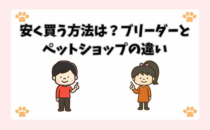 オキナインコを安く買う方法は？ブリーダーとペットショップの違い