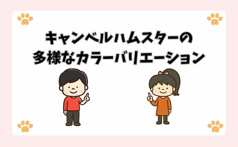キャンベルハムスターの多様なカラーバリエーション