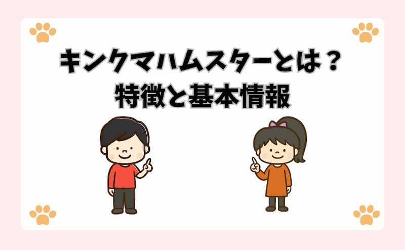 キンクマハムスターとは？特徴と基本情報