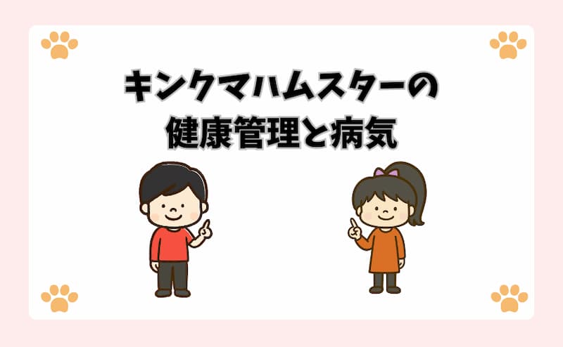 キンクマハムスターの健康管理と病気