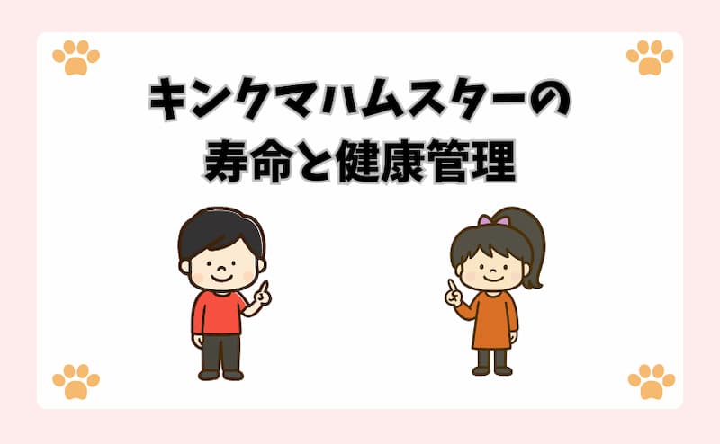 キンクマハムスターの寿命と健康管理