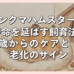 キンクマハムスターの寿命を延ばす飼育法｜2歳からのケアと老化のサイン