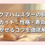 キンクマハムスターの飼い方完全ガイド：性格・寿命・なつかせるコツを徹底解説