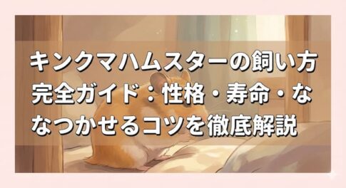 キンクマハムスターの飼い方完全ガイド：性格・寿命・なつかせるコツを徹底解説