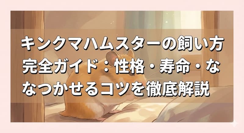 キンクマハムスターの飼い方完全ガイド：性格・寿命・なつかせるコツを徹底解説