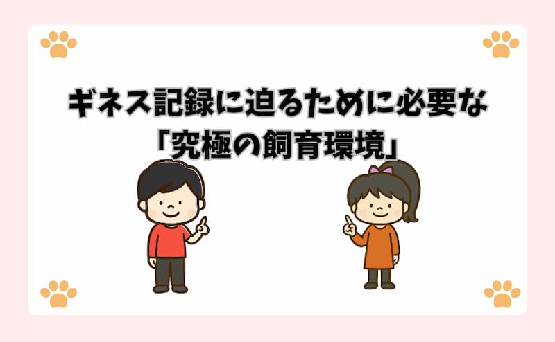ギネス記録に迫るために必要な「究極の飼育環境」