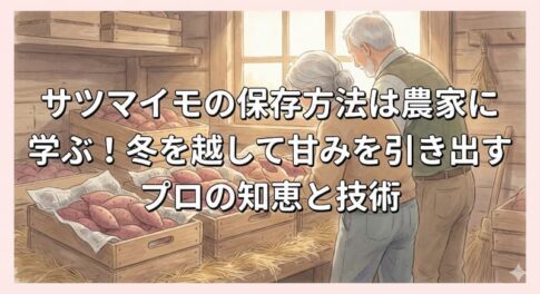 サツマイモの保存方法は農家に学ぶ！冬を越して甘みを引き出すプロの知恵と技術