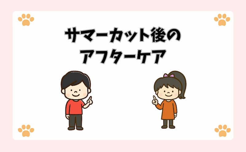 サマーカット後のアフターケア