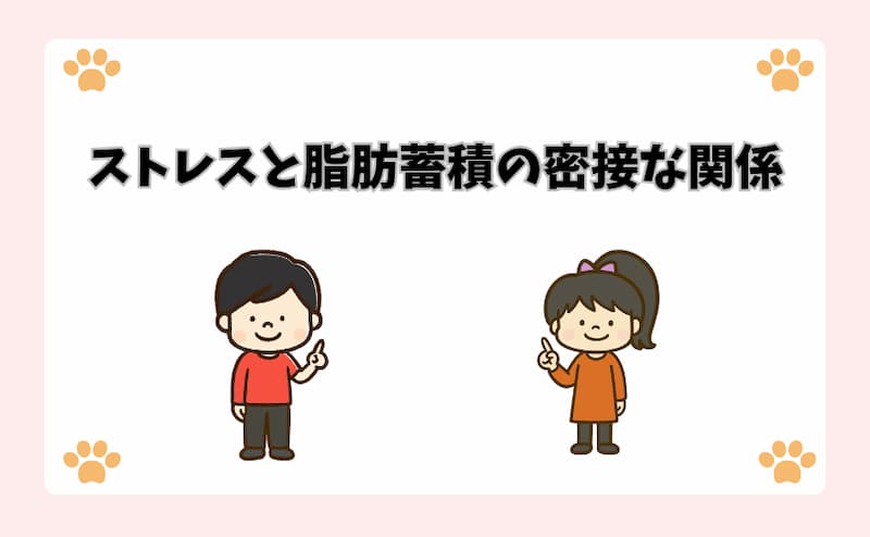 ストレスと脂肪蓄積の密接な関係