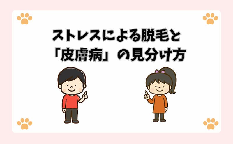 ストレスによる脱毛と「皮膚病」の見分け方