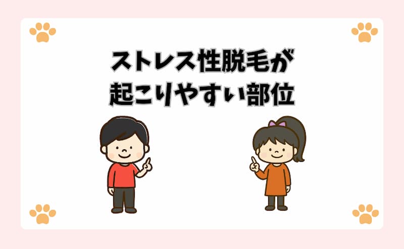 ストレス性脱毛が起こりやすい部位