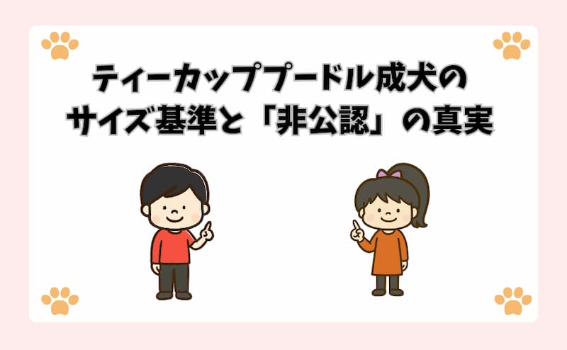 ティーカッププードル成犬のサイズ基準と「非公認」の真実
