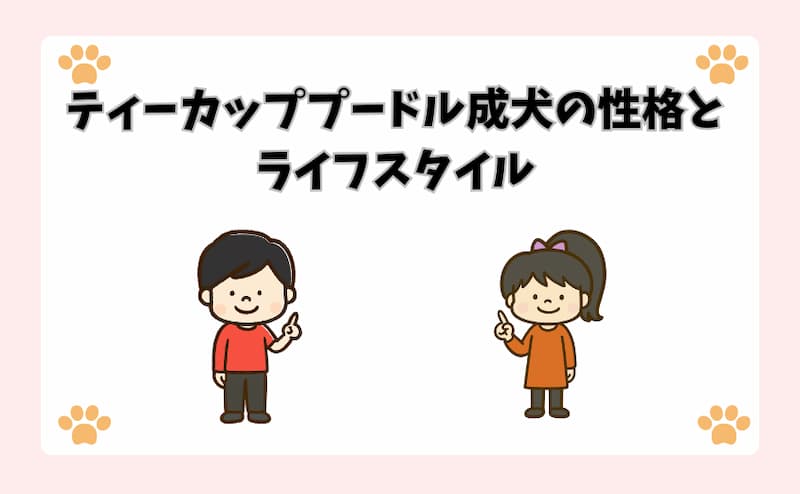 ティーカッププードル成犬の性格とライフスタイル