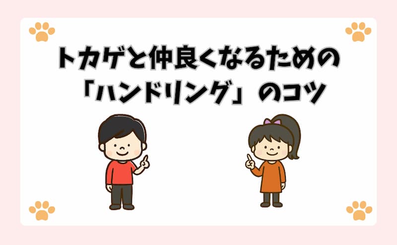 トカゲと仲良くなるための「ハンドリング」のコツ