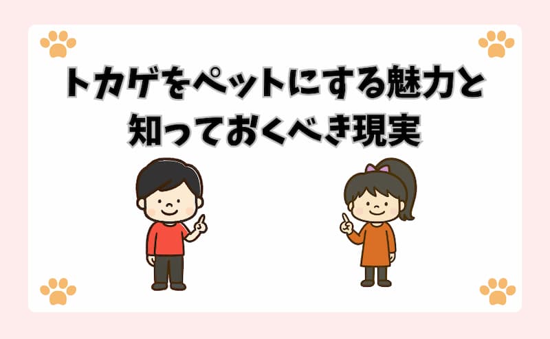 トカゲをペットにする魅力と知っておくべき現実