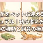 トカゲをペットに迎える完全マニュアル｜初心者におすすめの種類と飼育の極意