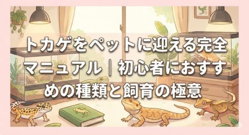 トカゲをペットに迎える完全マニュアル｜初心者におすすめの種類と飼育の極意