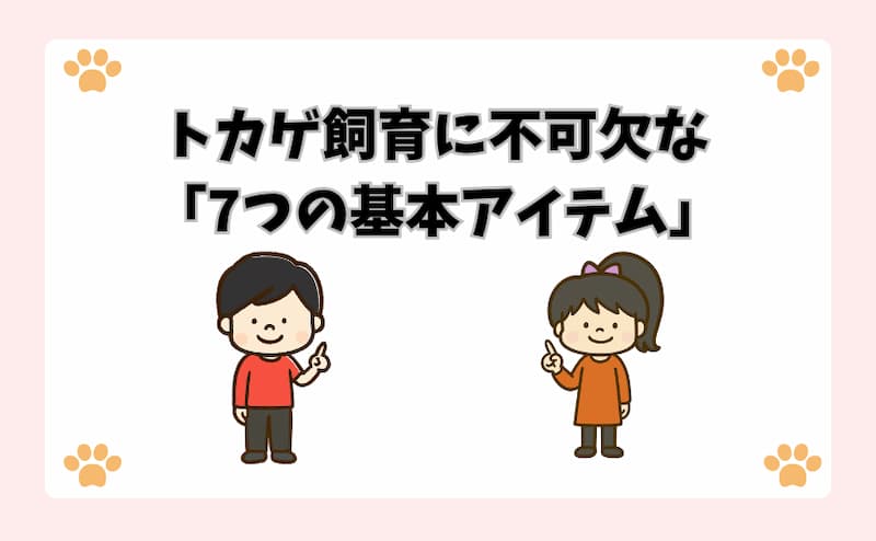 トカゲ飼育に不可欠な「7つの基本アイテム」