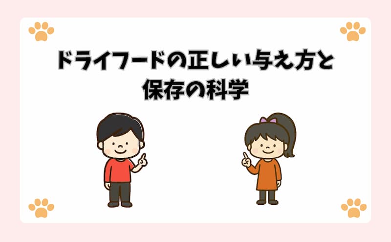 ドライフードの正しい与え方と保存の科学