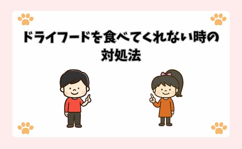 ドライフードを食べてくれない時の対処法