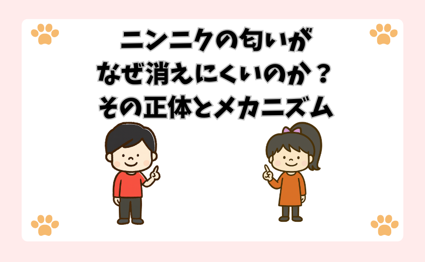 ニンニクの匂いがなぜ消えにくいのか？その正体とメカニズム