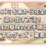 ネズミを家から完全に追い出す方法！自力駆除の全手順とおすすめグッズ・業者比較