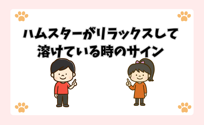 ハムスターがリラックスして溶けている時のサイン