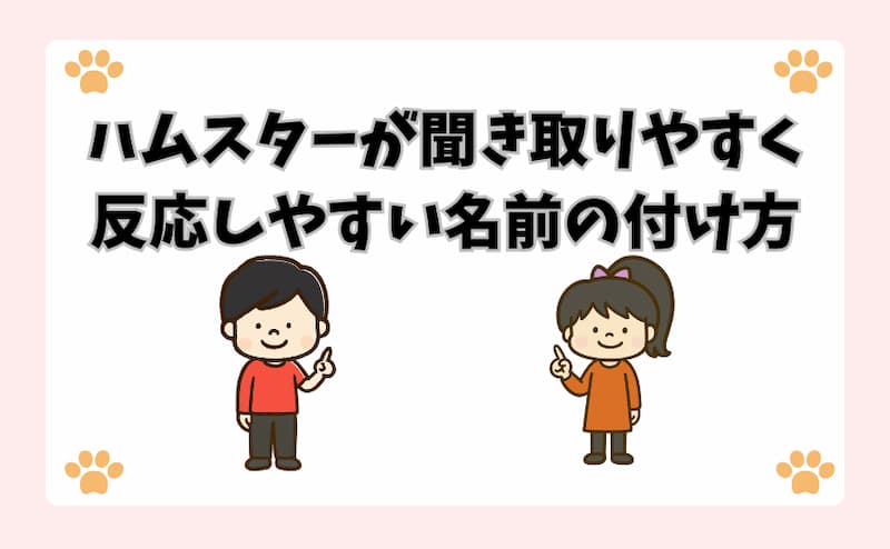 ハムスターが聞き取りやすく反応しやすい名前の付け方