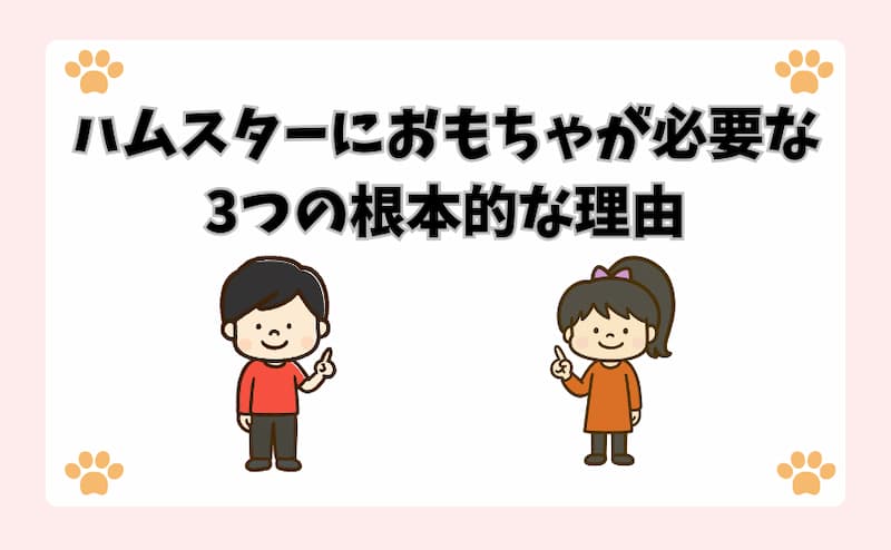 ハムスターにおもちゃが必要な3つの根本的な理由