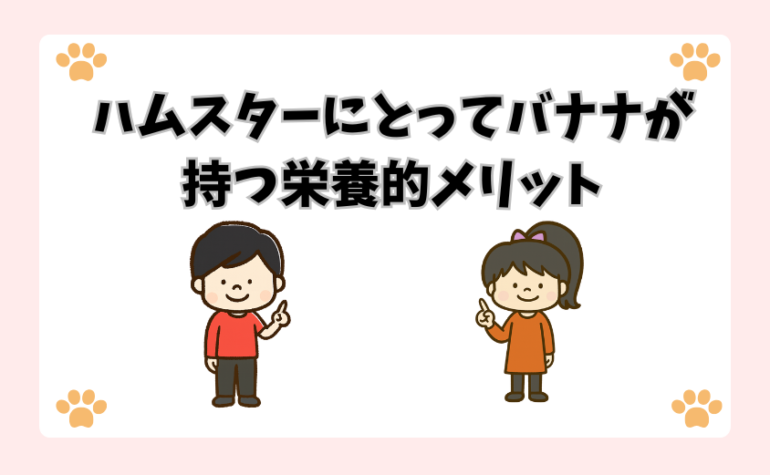 ハムスターにとってバナナが持つ栄養的メリット