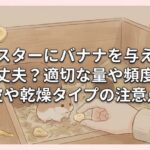 ハムスターにバナナを与えても大丈夫？適切な量や頻度と皮や乾燥タイプの注意点
