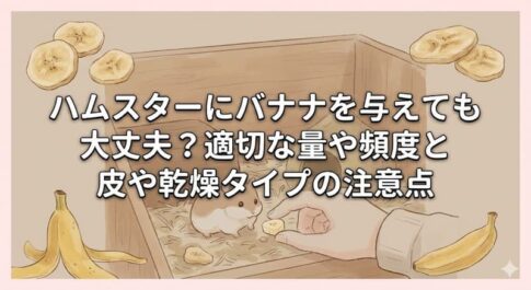 ハムスターにバナナを与えても大丈夫？適切な量や頻度と皮や乾燥タイプの注意点