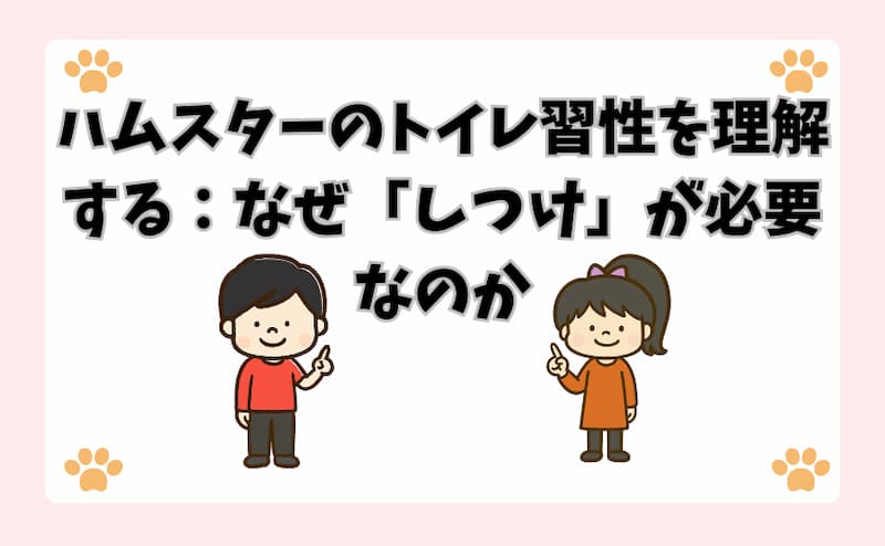 ハムスターのトイレ習性を理解する：なぜ「しつけ」が必要なのか
