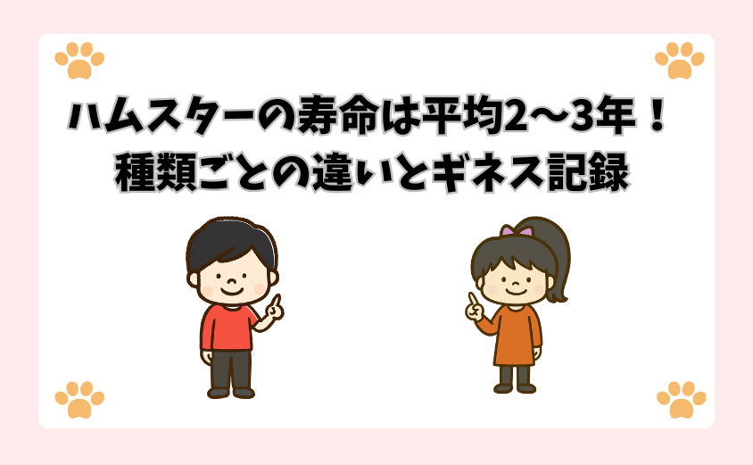 ハムスターの寿命は平均2〜3年！種類ごとの違いとギネス記録