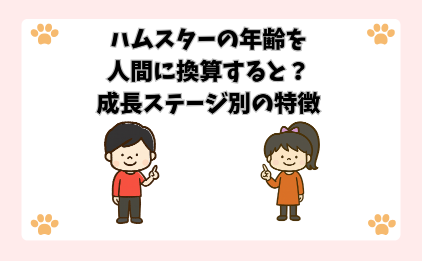 ハムスターの年齢を人間に換算すると？成長ステージ別の特徴