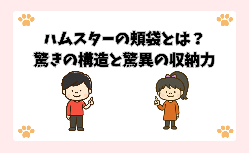 ハムスターの頬袋とは？驚きの構造と驚異の収納力