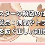 ハムスターの頬袋の仕組みと注意点：病気やトラブルを防ぐ正しい知識