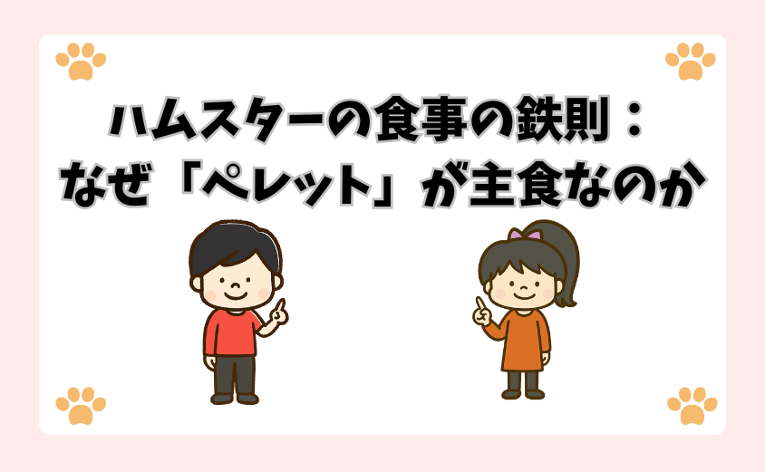 ハムスターの食事の鉄則：なぜ「ペレット」が主食なのか