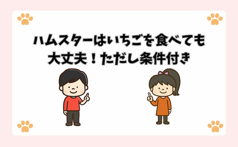ハムスターはいちごを食べても大丈夫！ただし条件付き